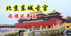 男人大鸡巴插黑丝大美女屁股里免费视频网站中国北京-东城古宫旅游风景区